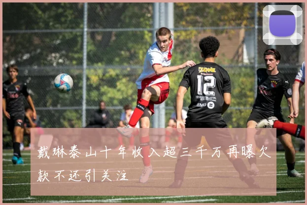 戴琳泰山十年收入超三千万再曝欠款不还引关注